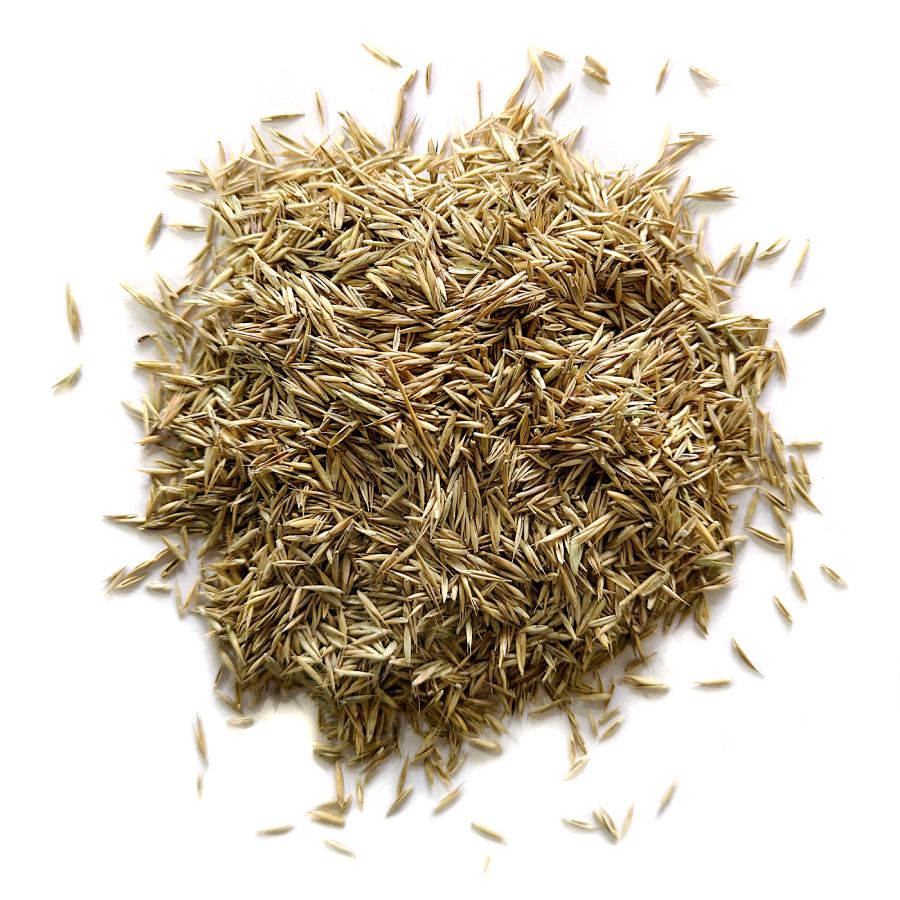 Emerald Grass Seed 1kg